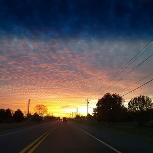 Meet your Posher, Toya